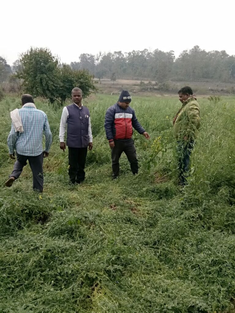 फसलों को हुई क्षति का समय-सीमा में आंकलन करें अधिकारी- डॉ. सिडाना – मण्‍डला