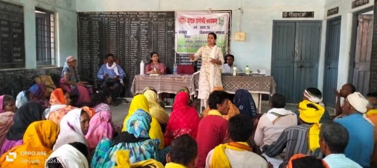 कम उपजाऊ भूमि के लिए वरदान है कोदो – कुटकी (मण्‍डला समाचार)