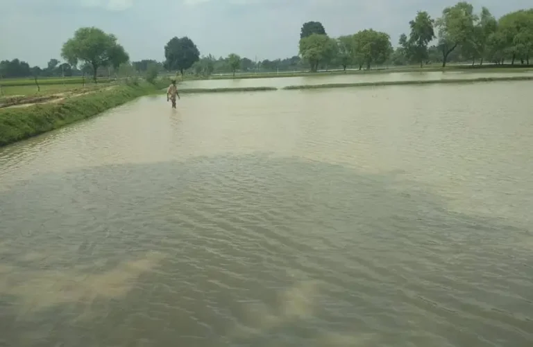 ग्रामीणों ने लिया नांदिया नाला को पुनर्जीवित करने का संकल्प