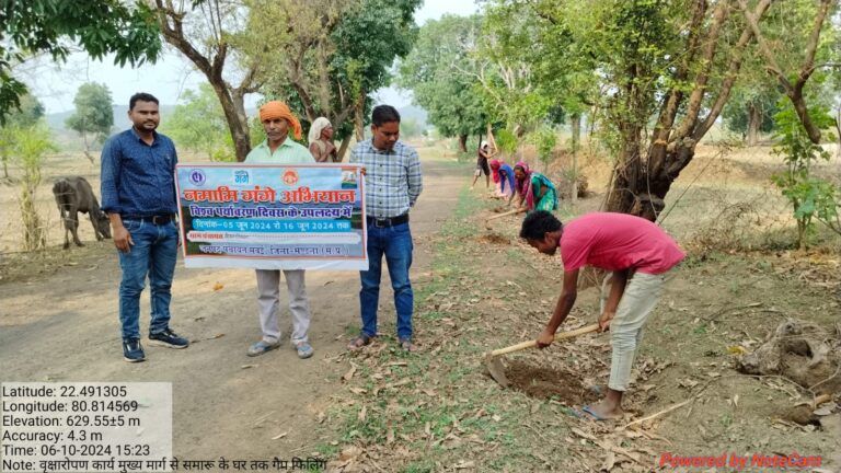 केवलारी कला में सड़क के दोनों ओर पौधरोपण (मण्‍डला समाचार)