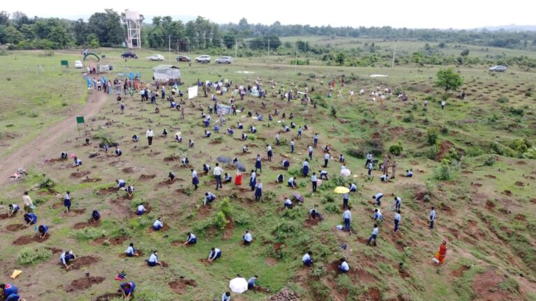 स्वतंत्र पत्रकार संगठन मण्डला ने एक पेड़ मां के नाम के तहत् लगाए 1001 पौधे