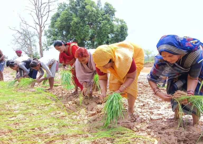 अन्नदाताओं की समृद्धि का आधार है खेती