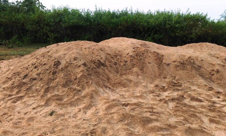 राजस्व दल द्वारा बुढ़ला में अवैध भंडारित रेत को किया गया जप्त