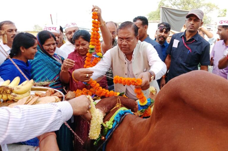 मंत्री संपतिया उईके और सांसद फग्गन सिंह कुलस्ते ने दयोदय पशु सेवा सदन में गौवंशों को लड्डू प्रासन कराया